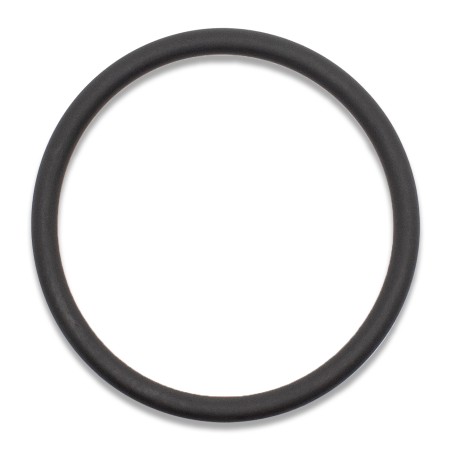 Guarnizione O-ring compatibile con Macchine Caffè a Cialde ESE 44mm