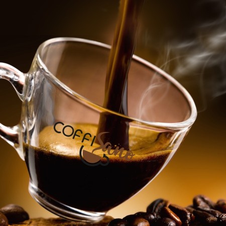 150 Cialde Caffè Coffisano Miscela Palermo, Espresso Italiano in Filtro Carta Compostabile ESE da 44 mm